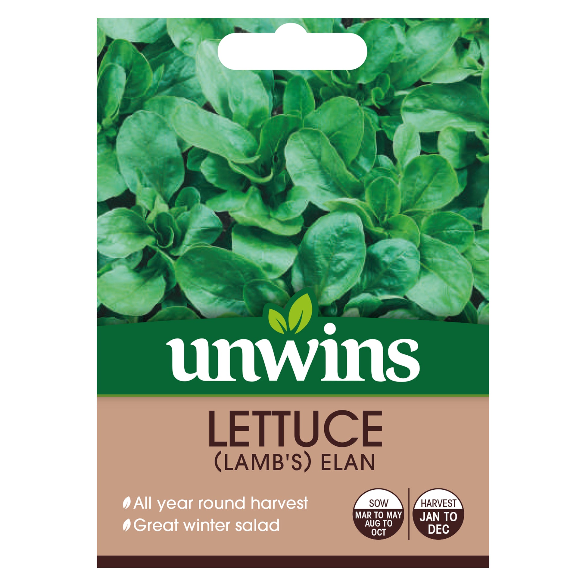 Salad Leaf Lamb's Elan