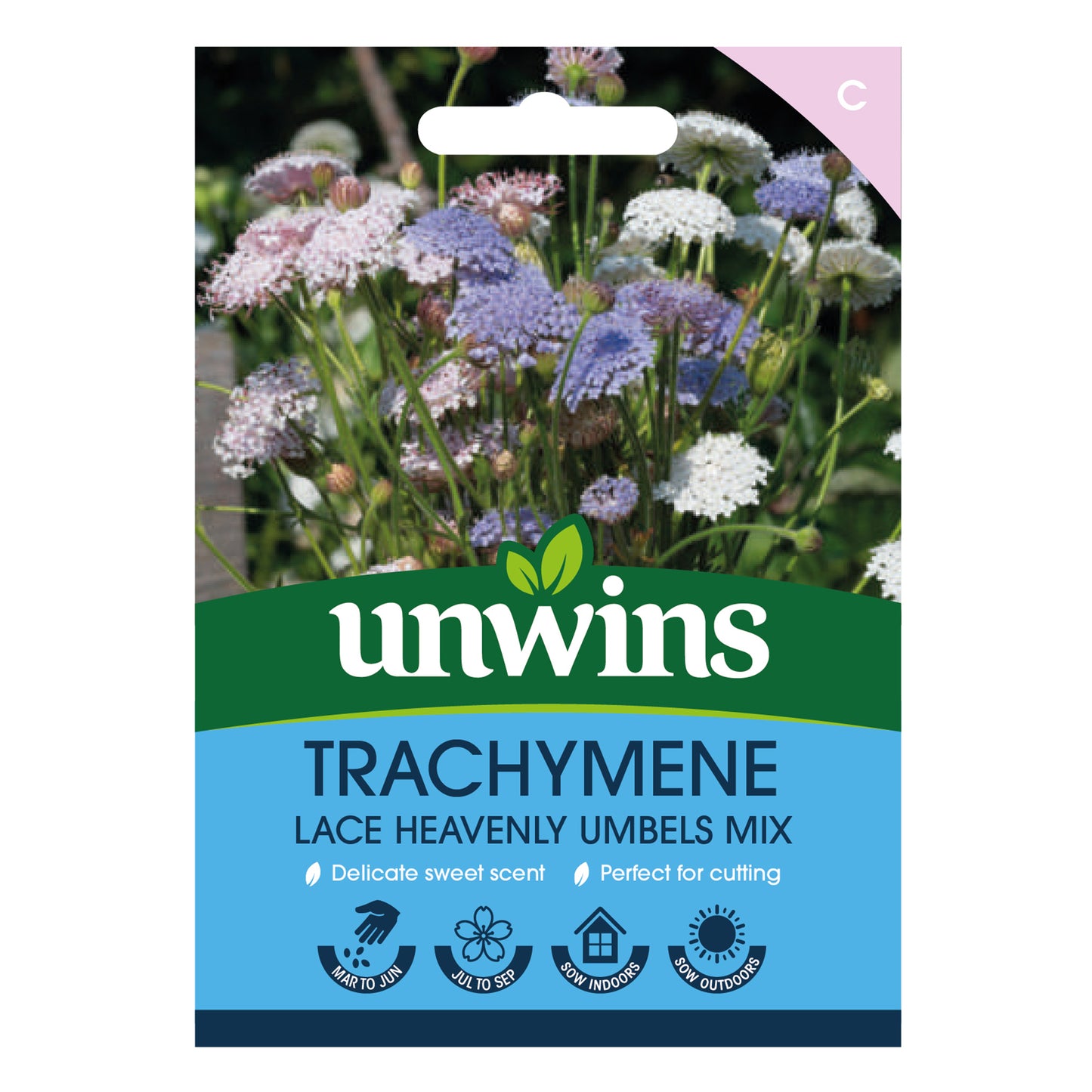 Trachymene Lace Heavenly Umbels Mix