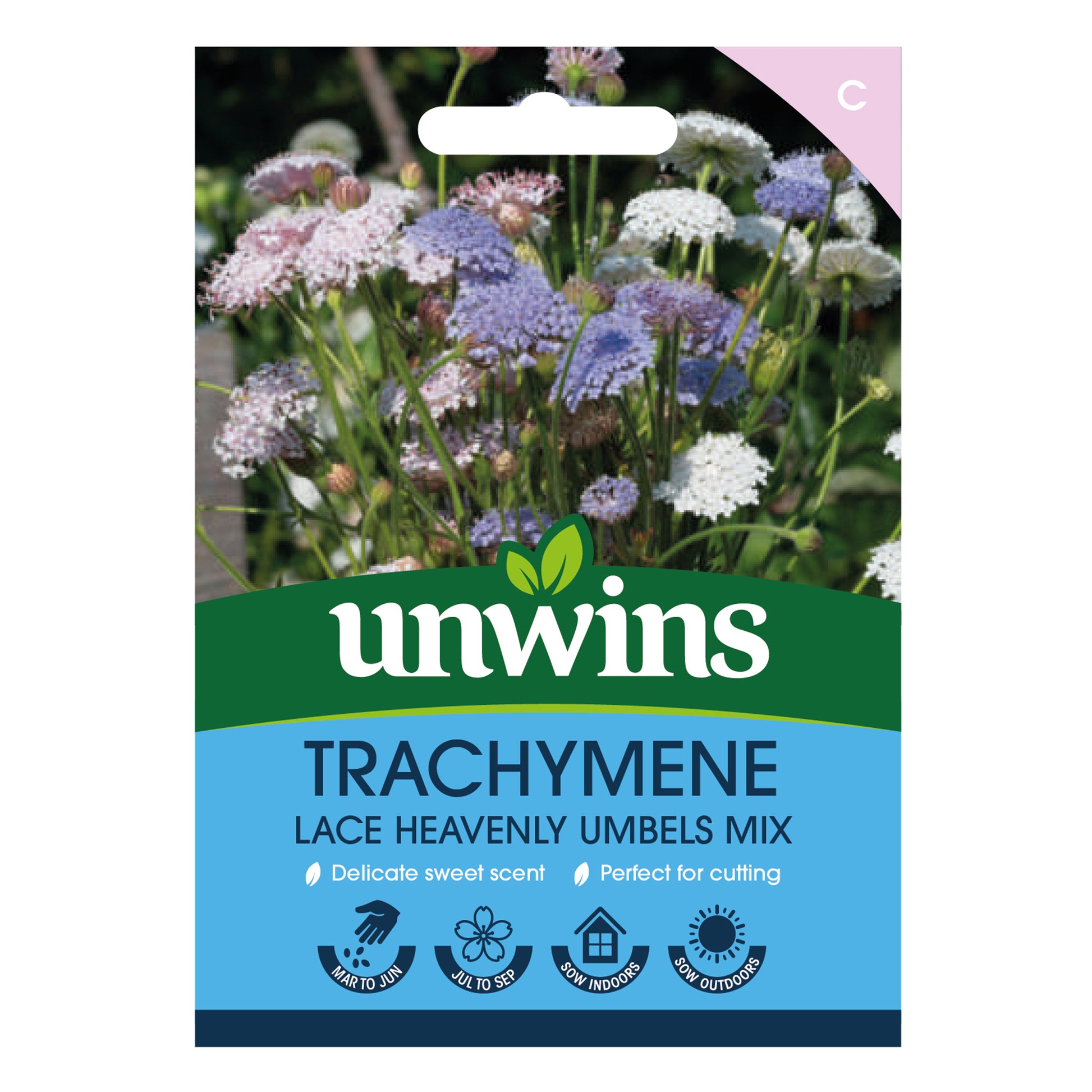 Trachymene Lace Heavenly Umbels Mix