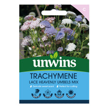 Trachymene Lace Heavenly Umbels Mix