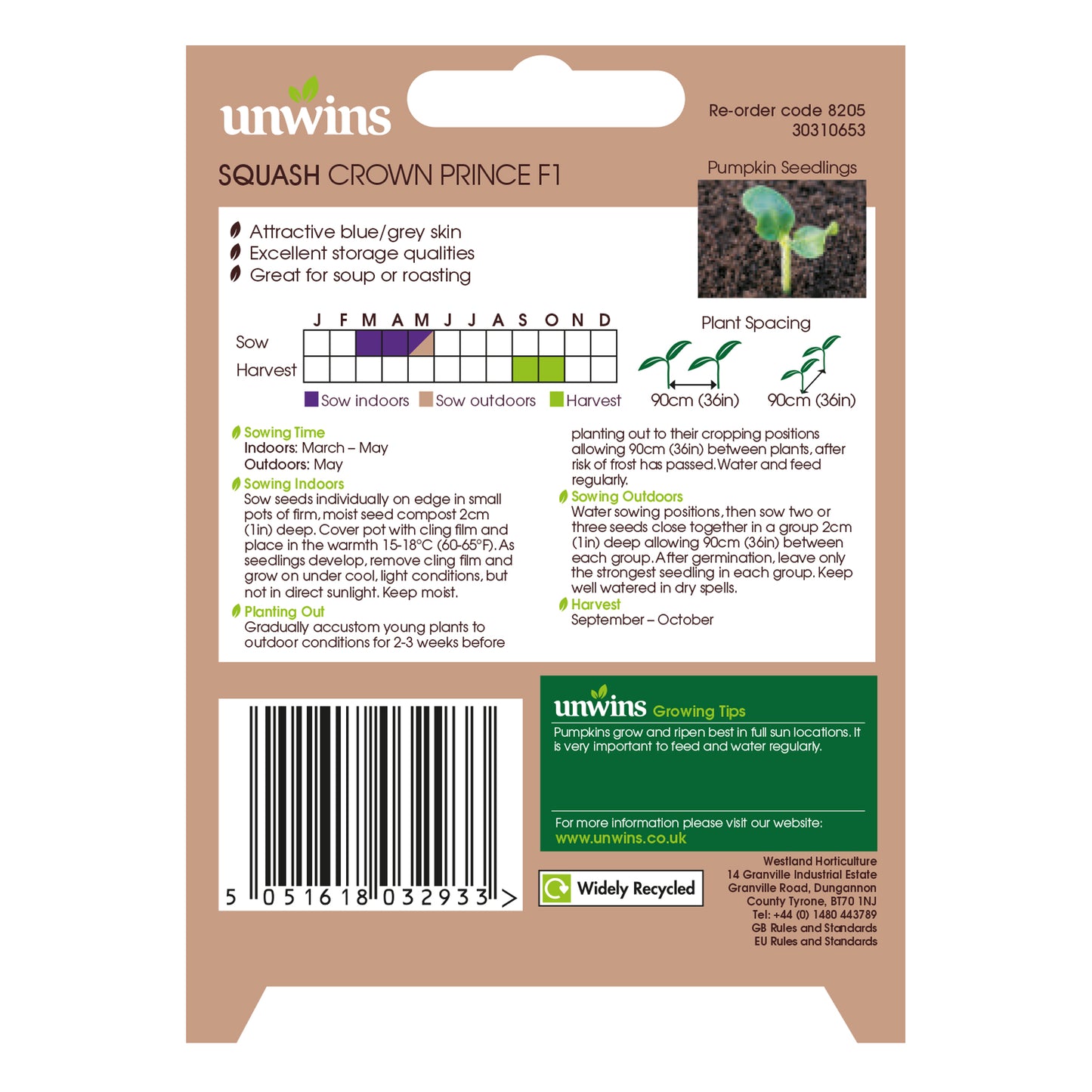 Pumpkin Crown Prince