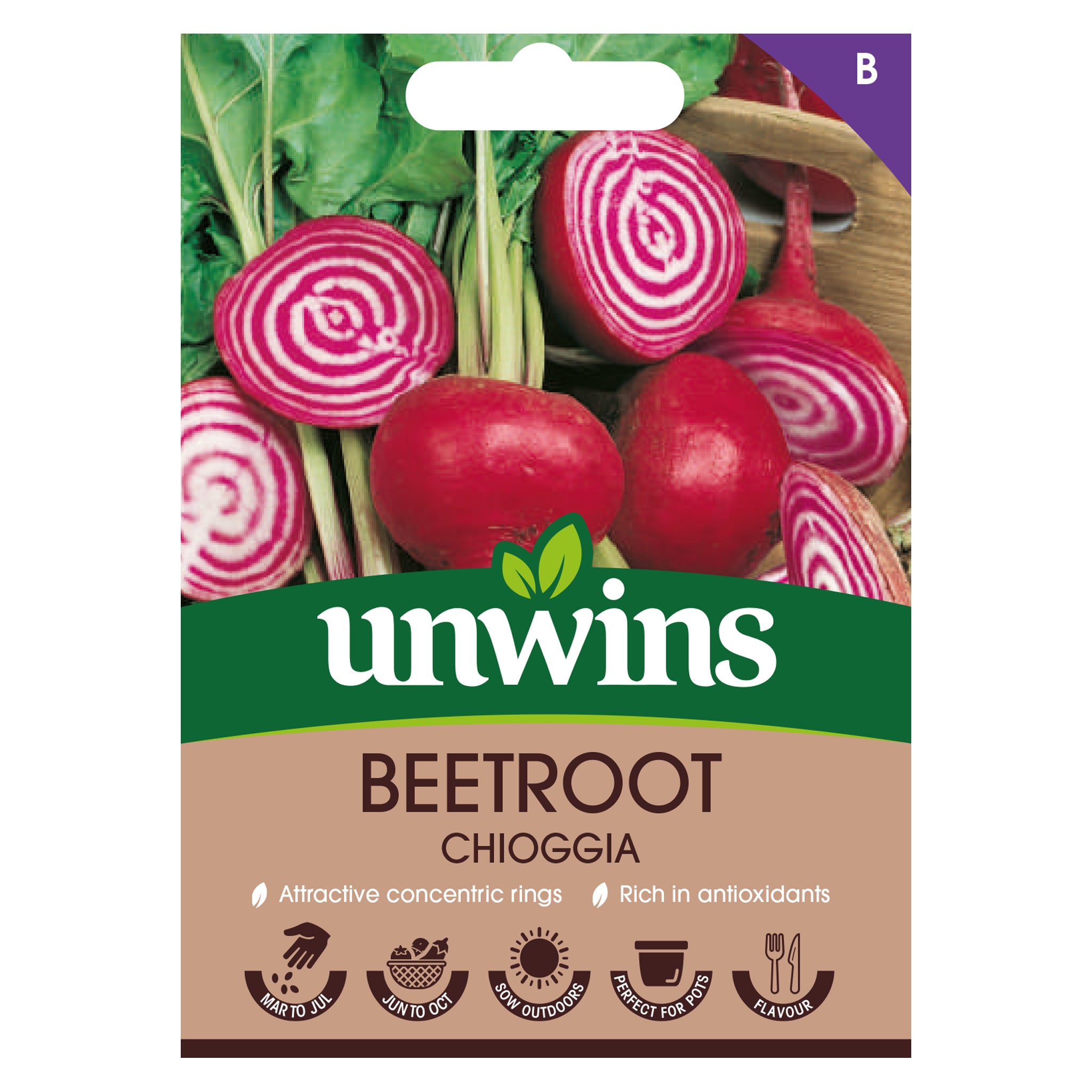 Beetroot Chioggia
