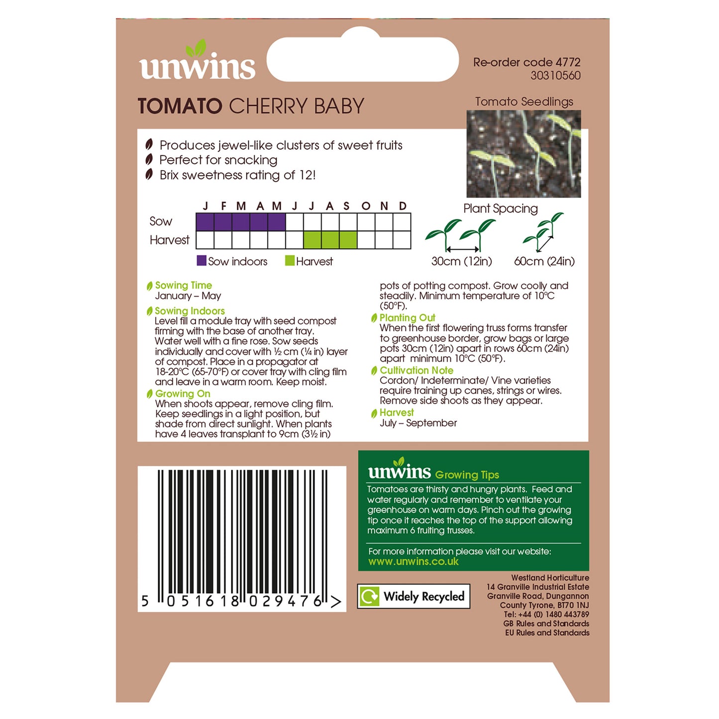 Tomato (Cherry) Cherry Baby