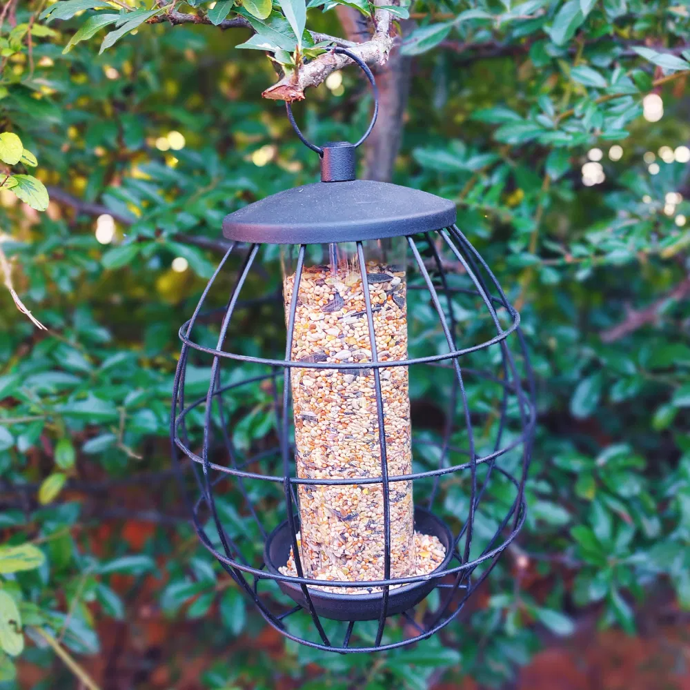 Copdock Mill Twist & Release Squirrel Resistant Seed 455g