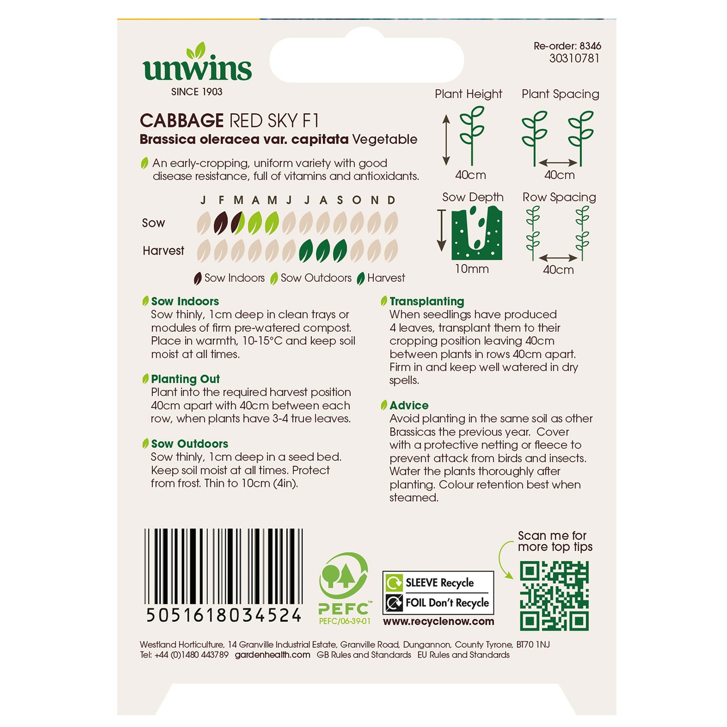 Cabbage (Round) Redsky F1