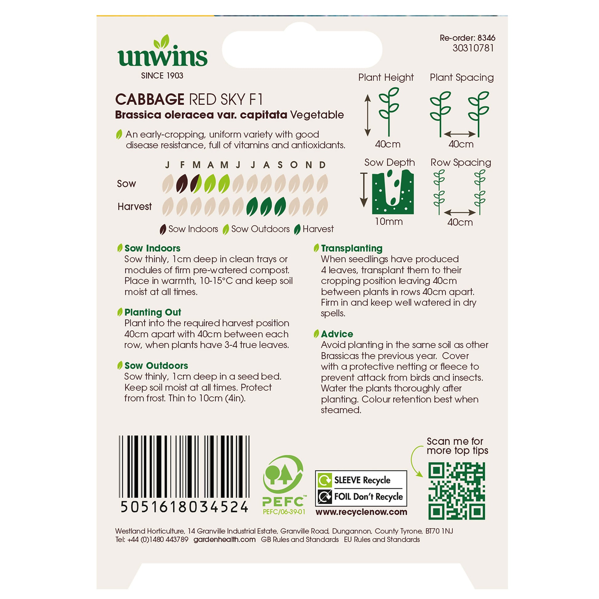 Cabbage (Round) Redsky F1