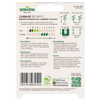 Cabbage (Round) Redsky F1