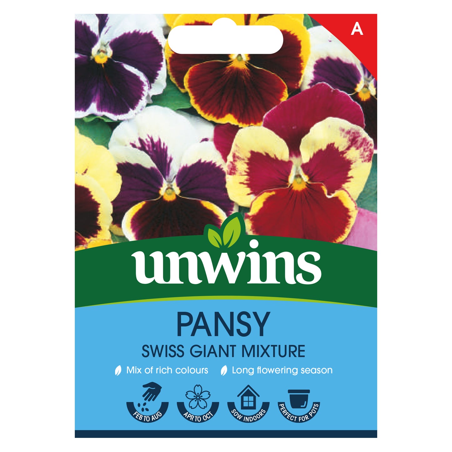 Pansy Swiss Giant Mix