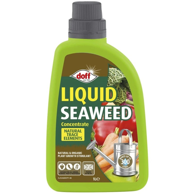 Doff Liquid Seaweed Concentrate - 1 Litre