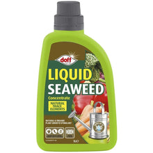 Doff Liquid Seaweed Concentrate - 1 Litre