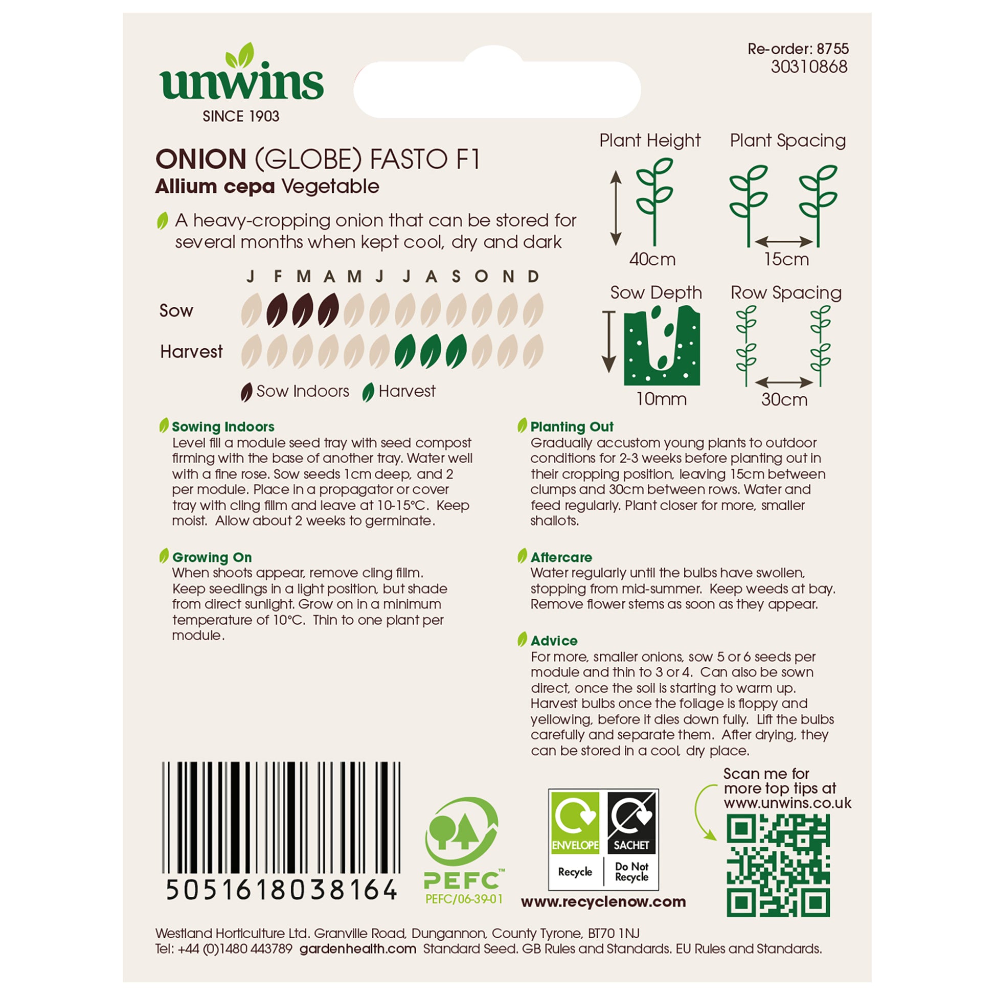 Onion (Globe) Fasto F1