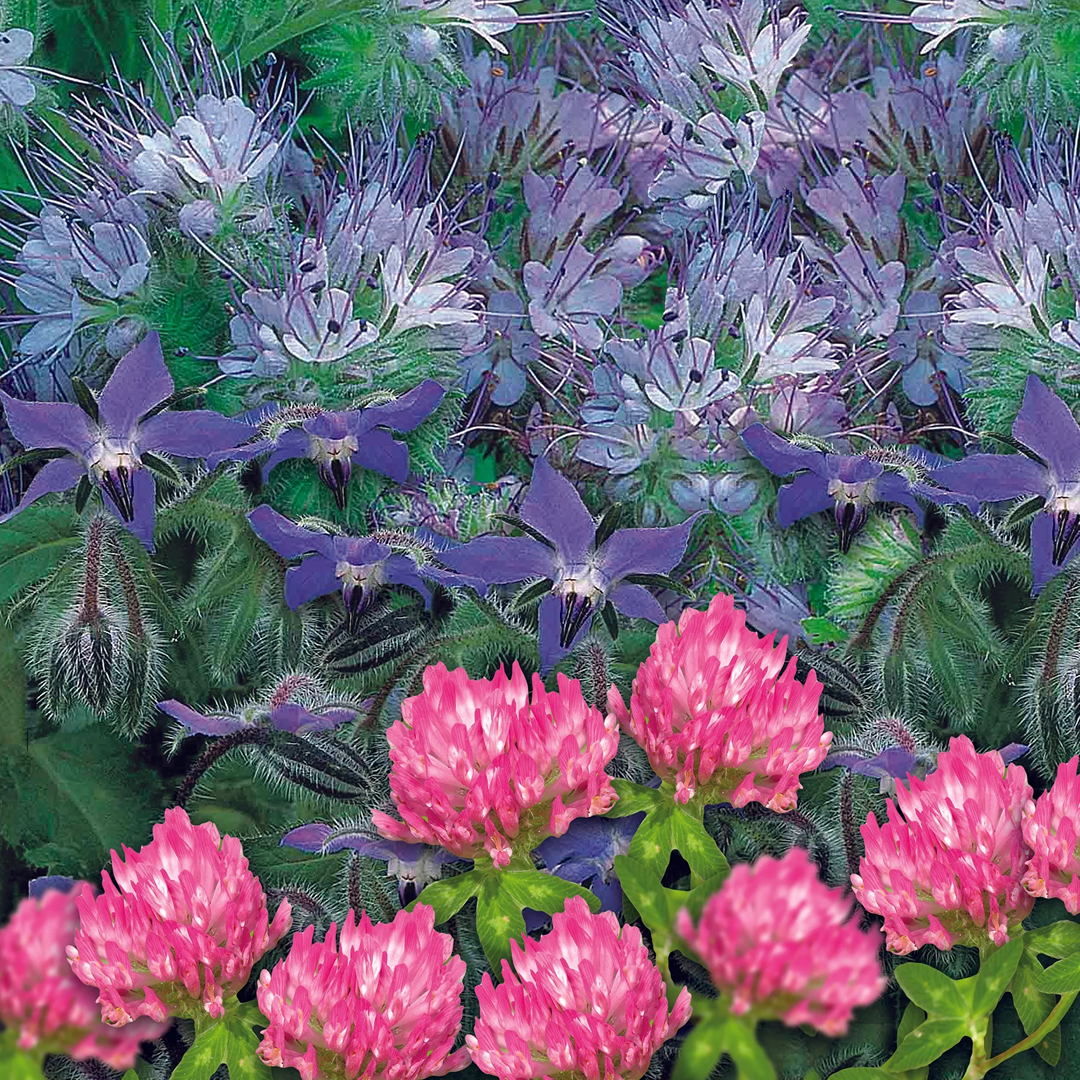Unwins Green Manure Seeds Range