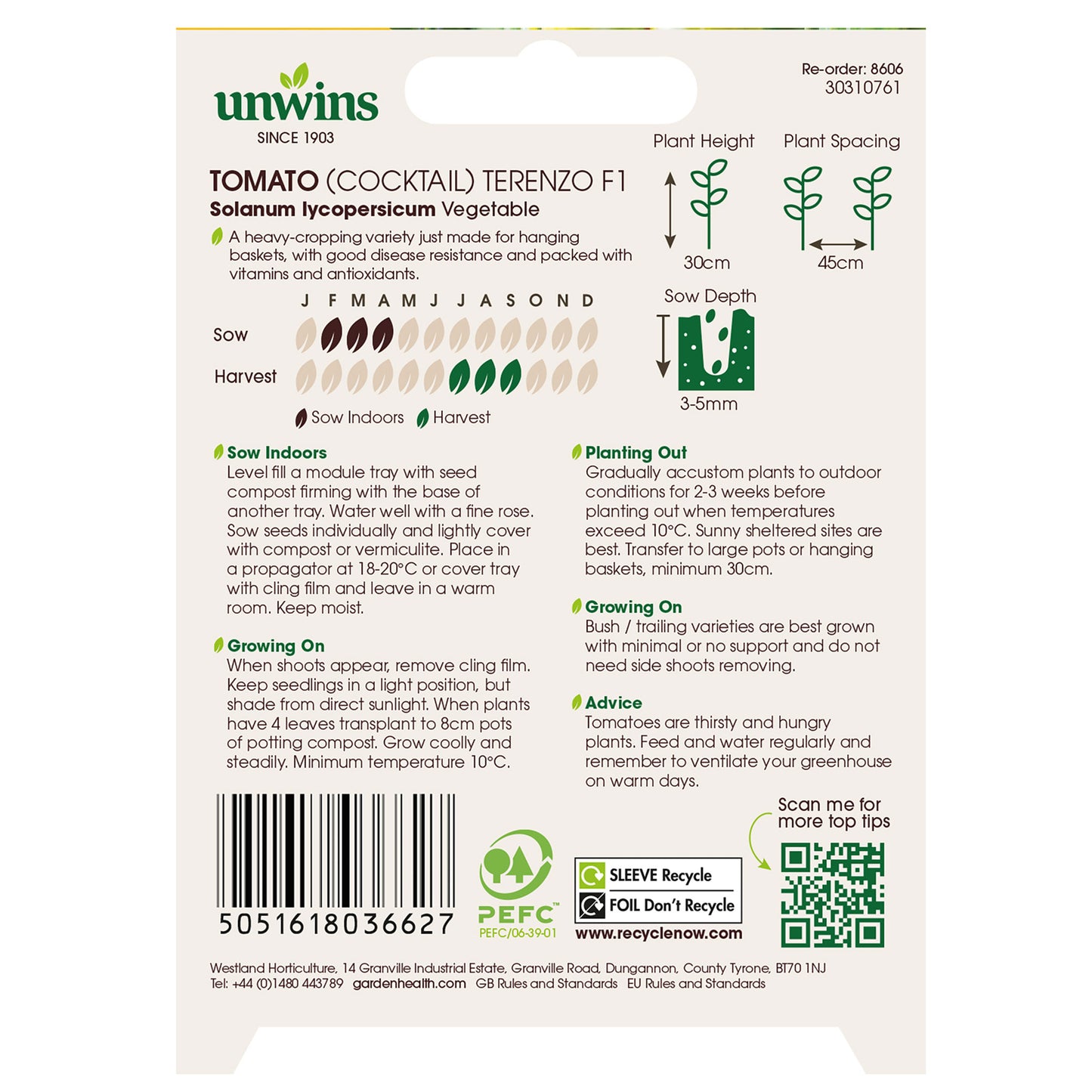 Tomato (Cocktail) Terenzo F1