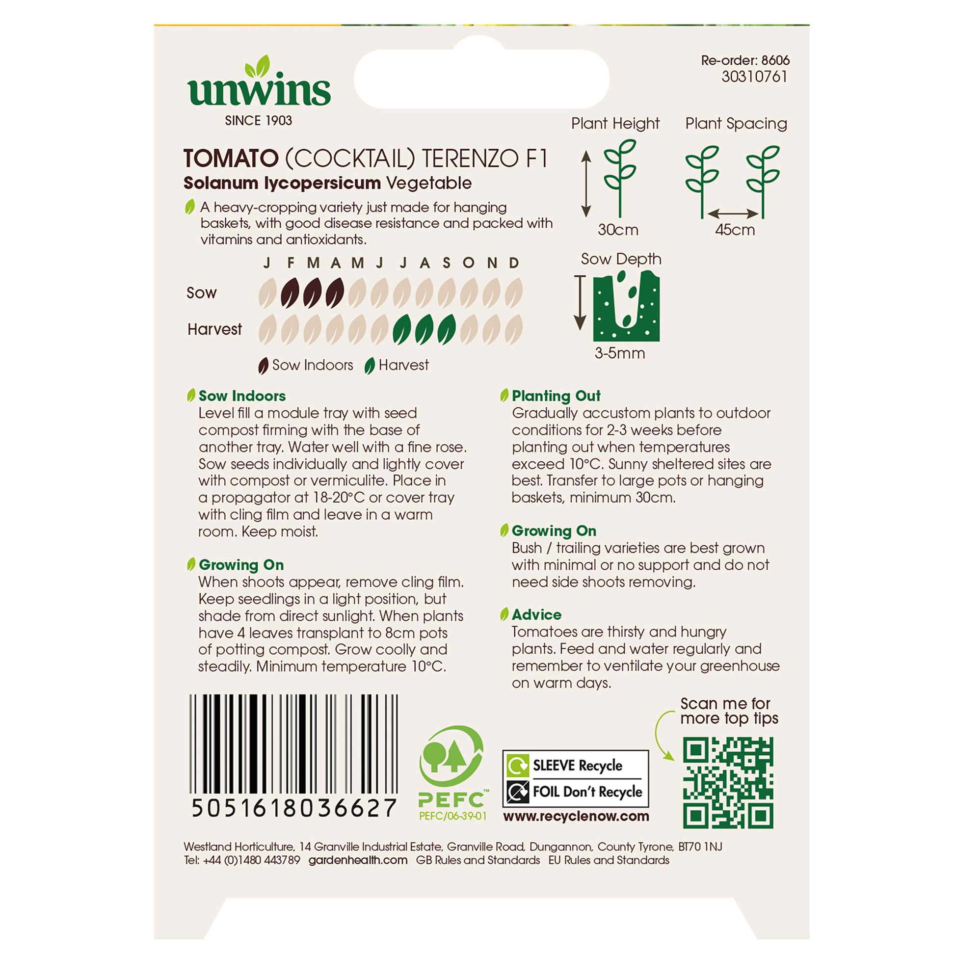 Tomato (Cocktail) Terenzo F1