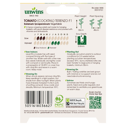 Tomato (Cocktail) Terenzo F1