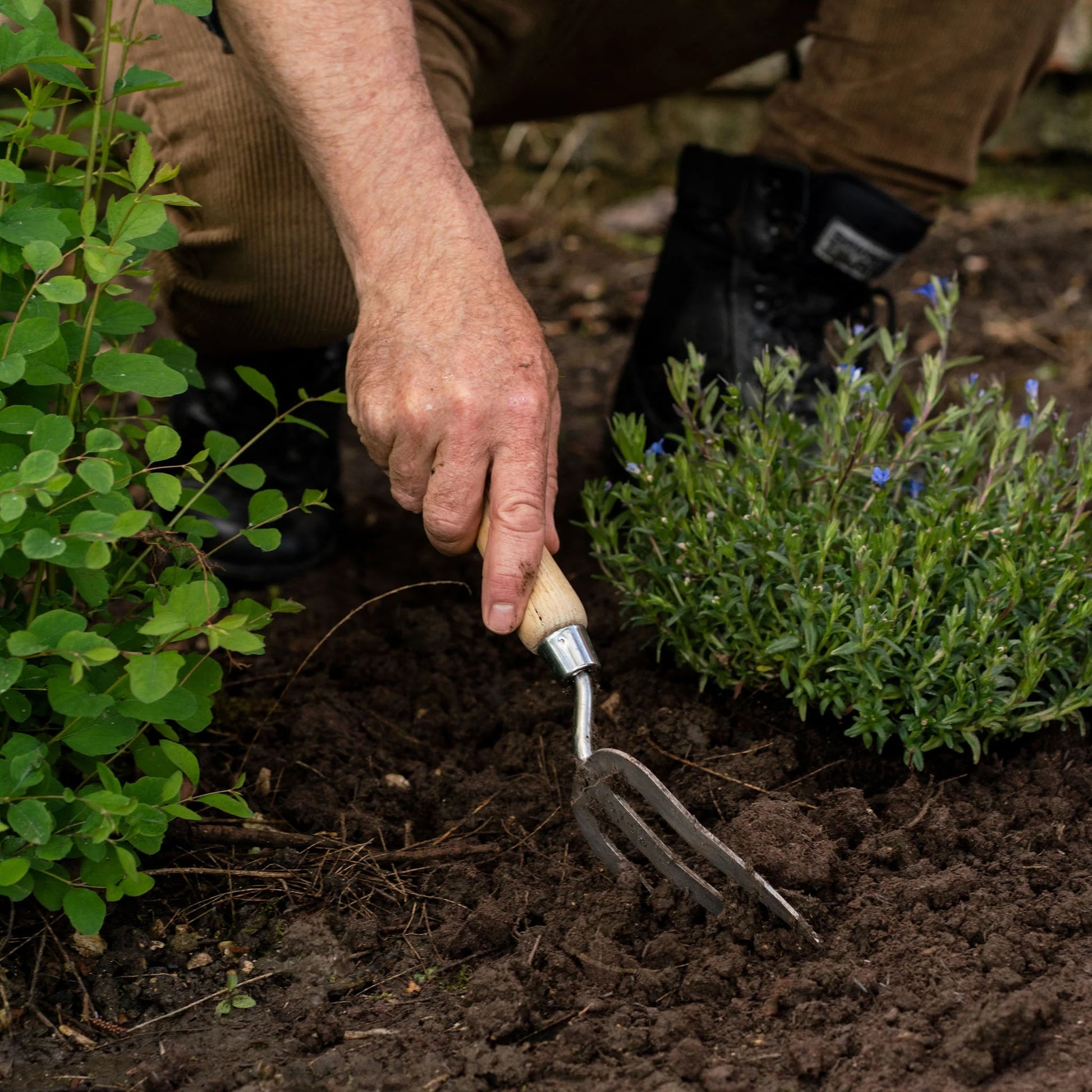 Kent & Stowe Stainless Steel Hand Fork