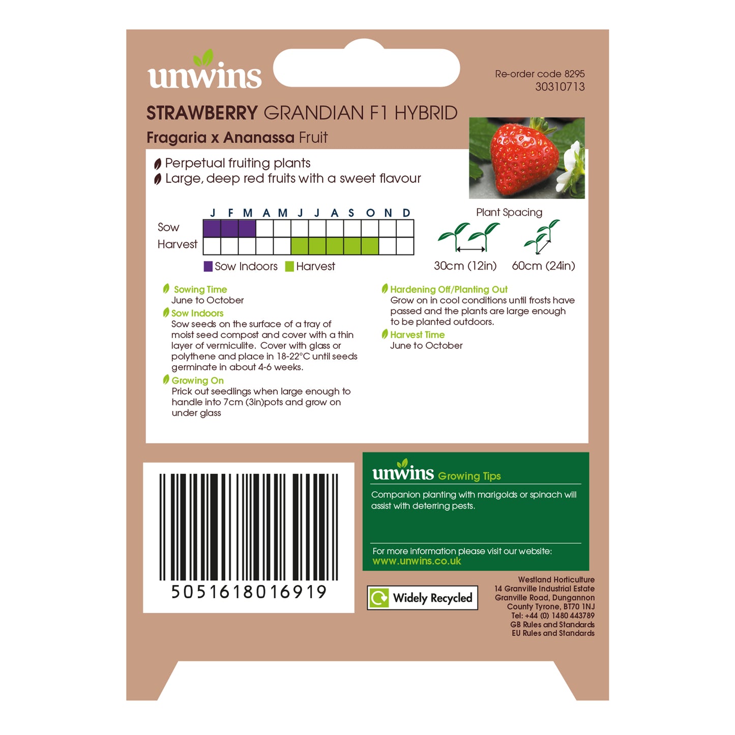 Unwins Sweet Summer Fruit Seed Bundle