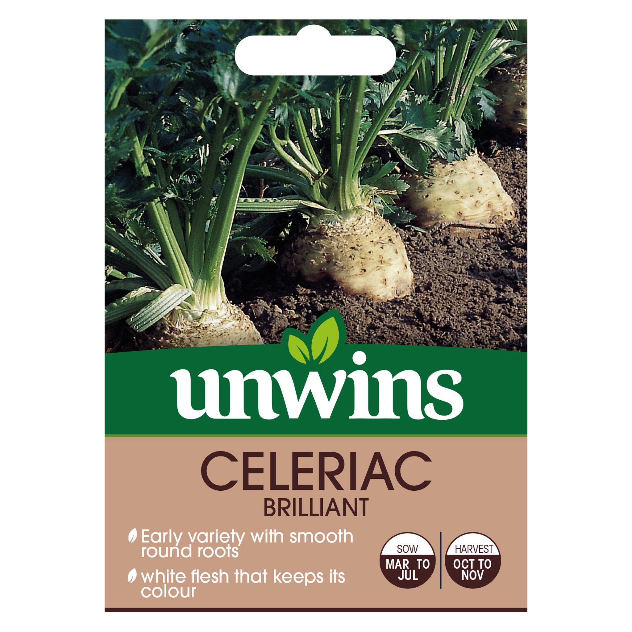 Celeriac Brilliant