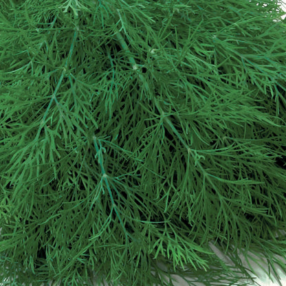 Unwins Seeds - Organic