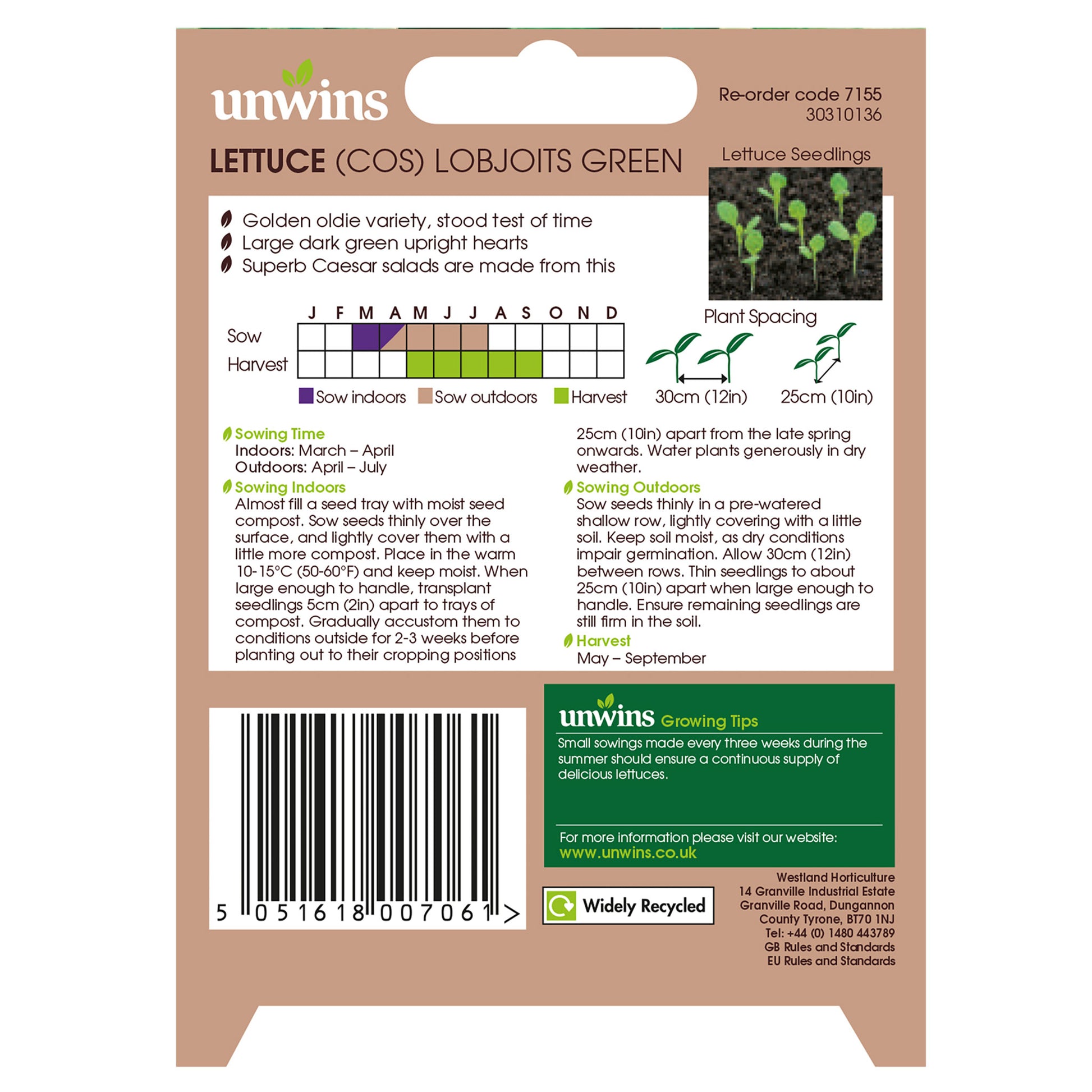 Lettuce (Cos) Lobjoits Green