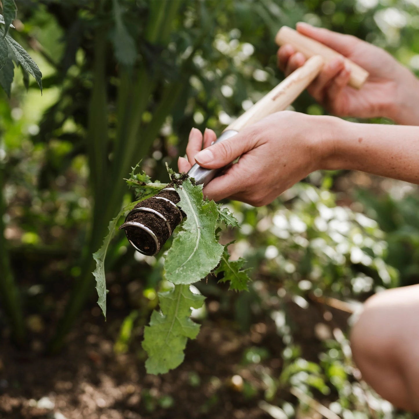 Kent & Stowe Stainless Steel Hand Corkscrew Weeder