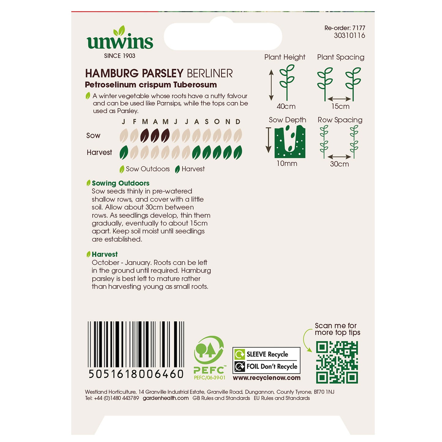 Hamburg Parsley Berliner