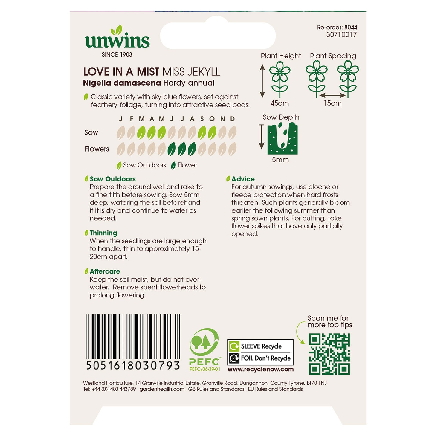 Love In A Mist Miss Jekyll