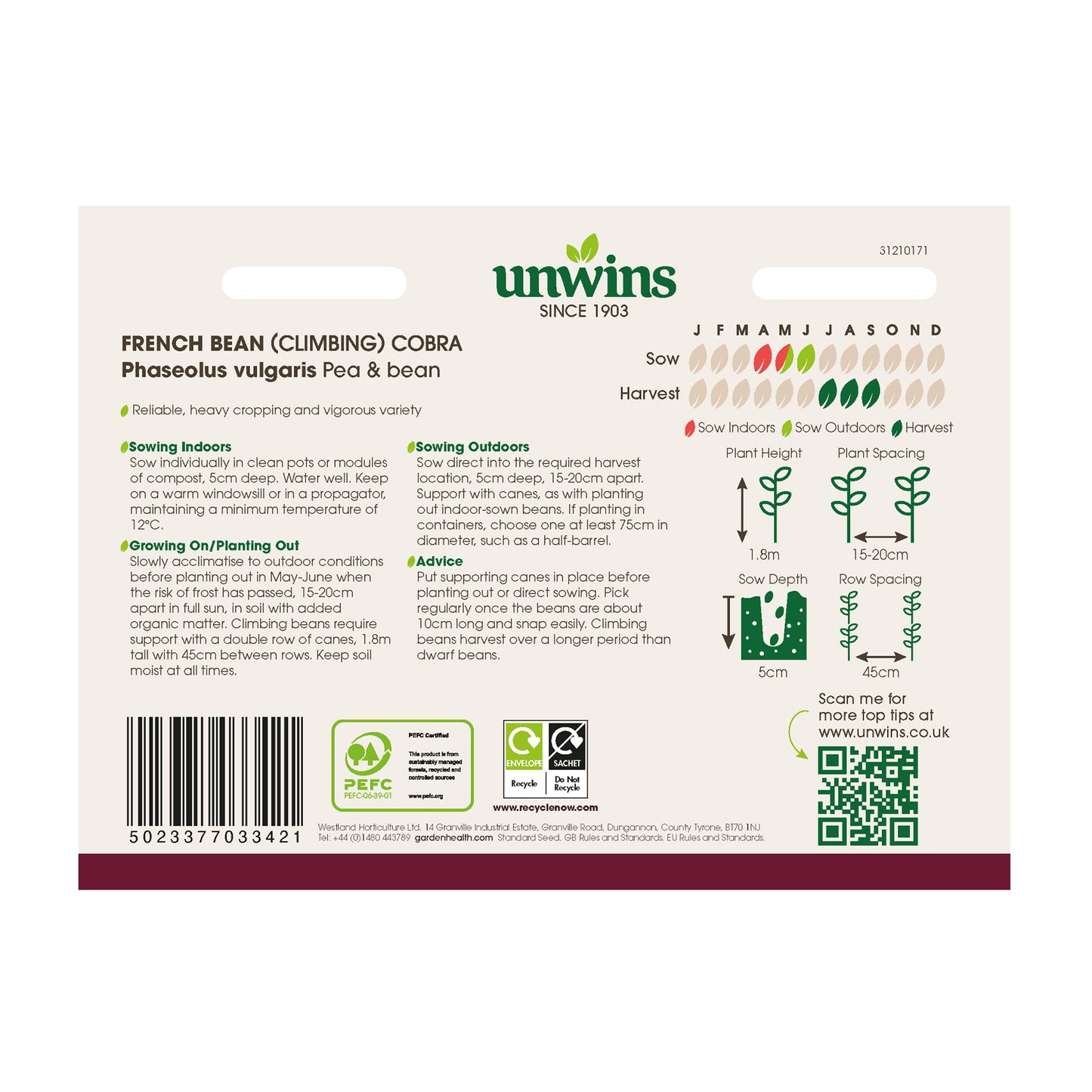 French Bean (Climbing) Cobra