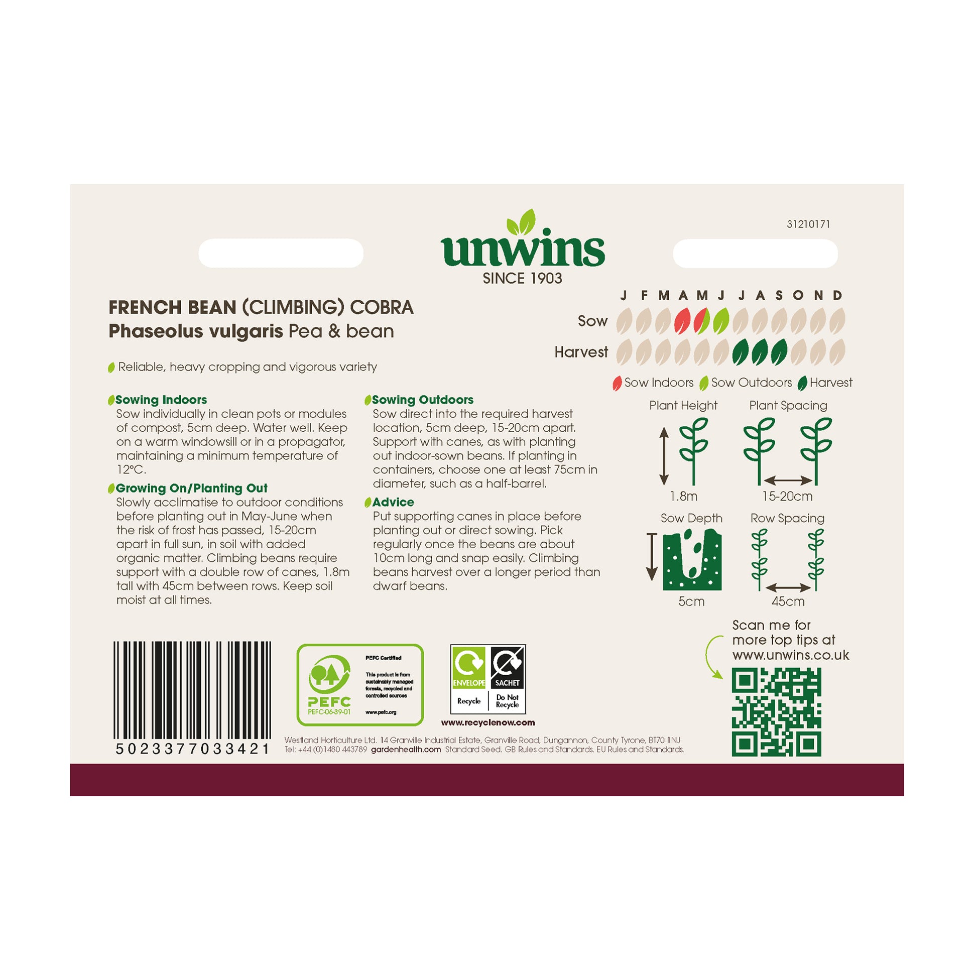 French Bean (Climbing) Cobra