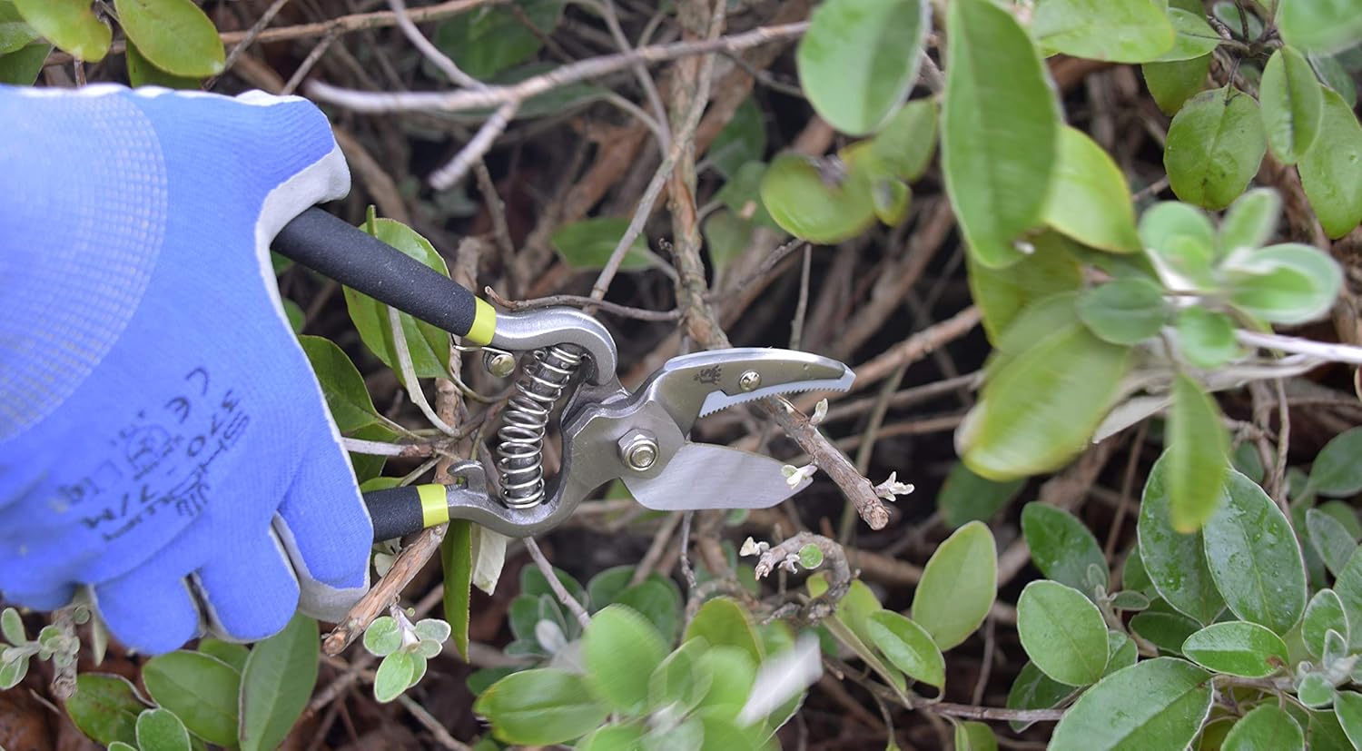 Spear & Jackson Kew Vintage Bypass + Anvil Secateur Set