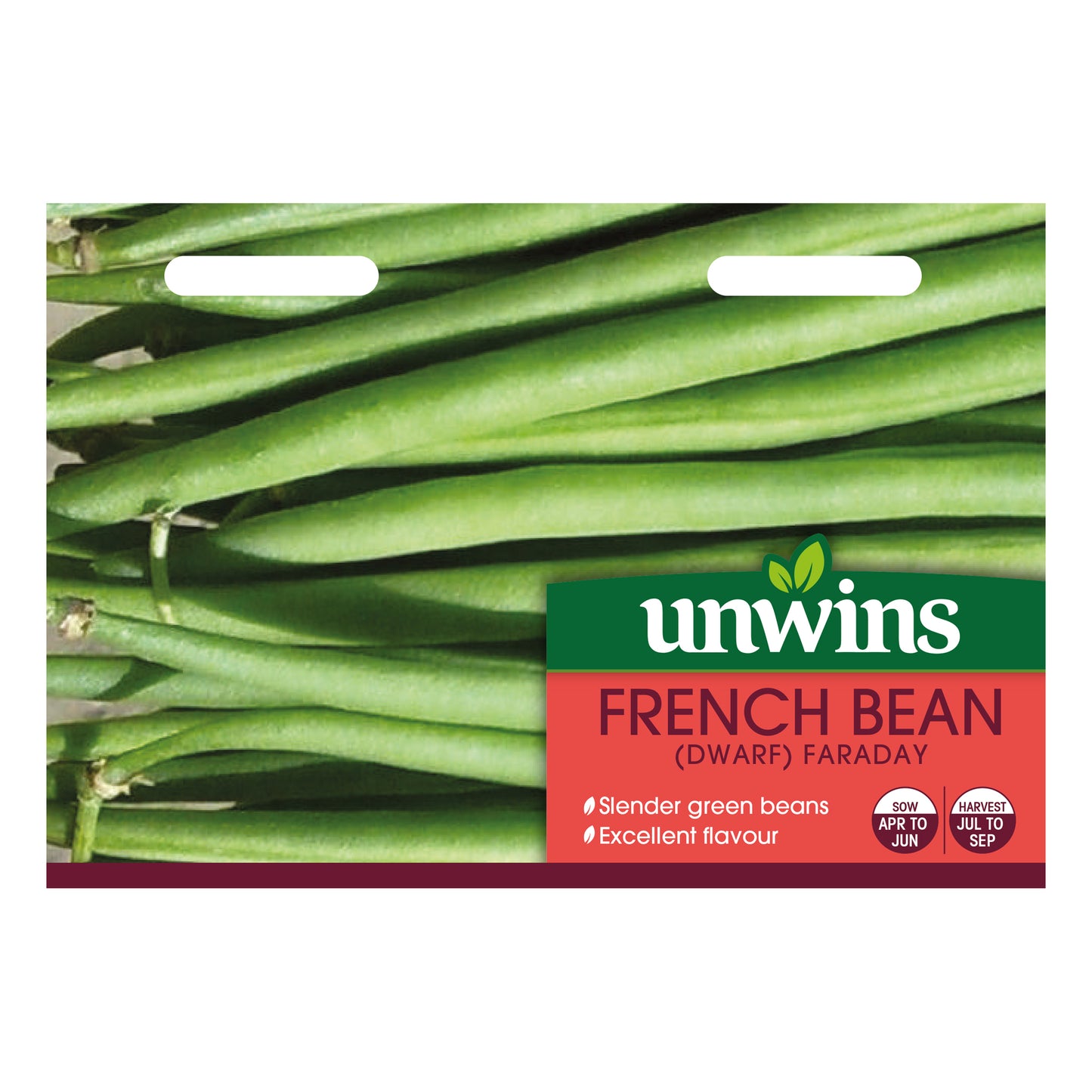 French Bean (Dwarf) Faraday