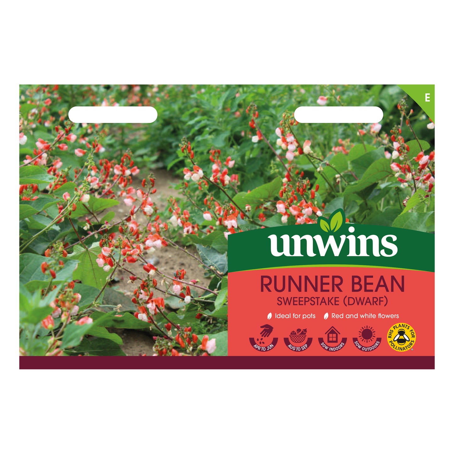 Runner Bean Sweepstake