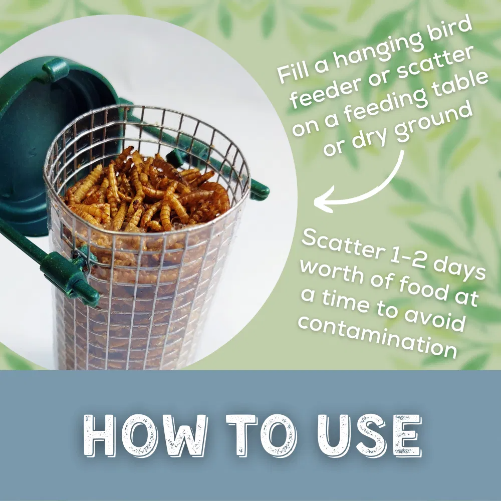 Copdock Mill Dried Mealworms Tubs 1kg