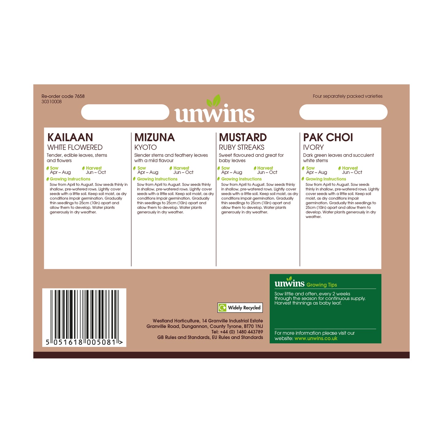 Salad Spicy Collection Pack