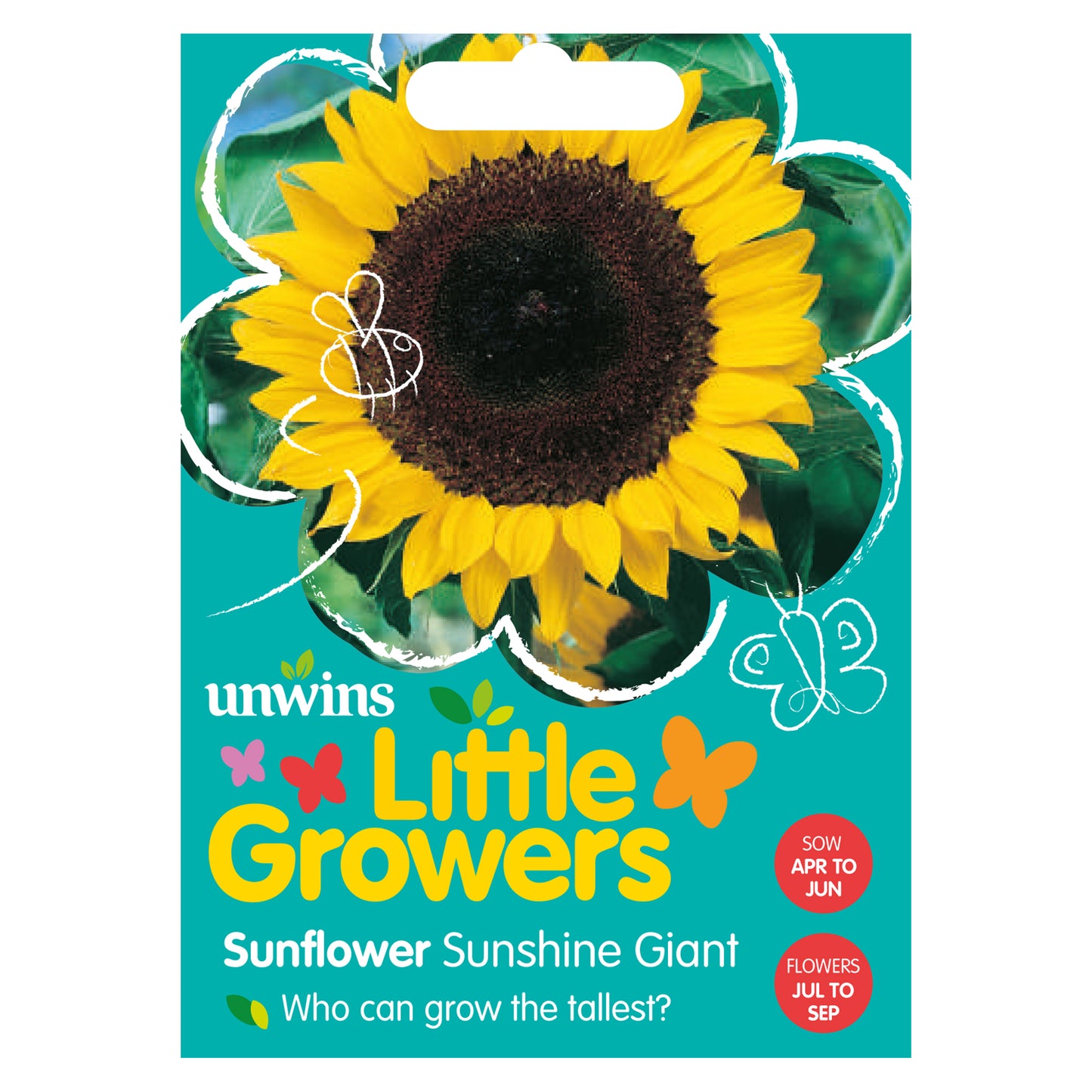 Little Growers Sunflower Sunshine Giant