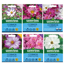 Unwins Cosmos Pink Seed Bundle