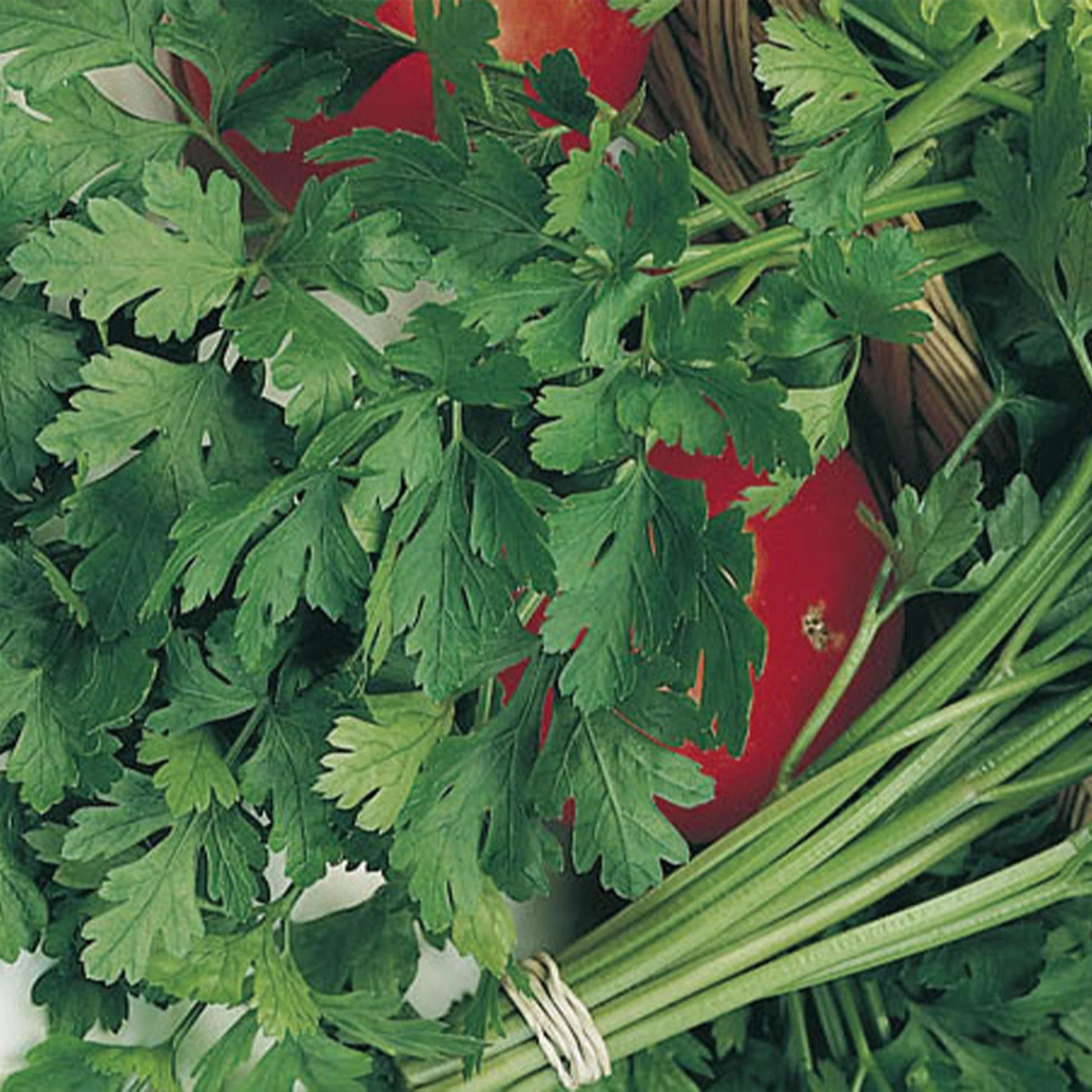 Unwins Seeds - Organic