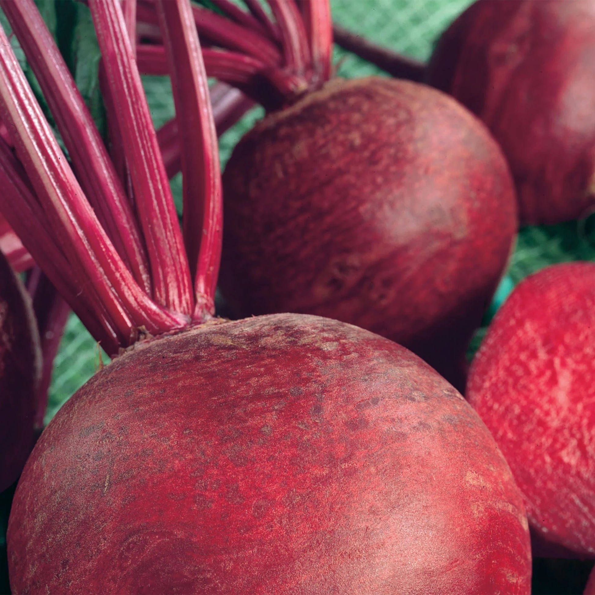 Unwins Seeds - Organic