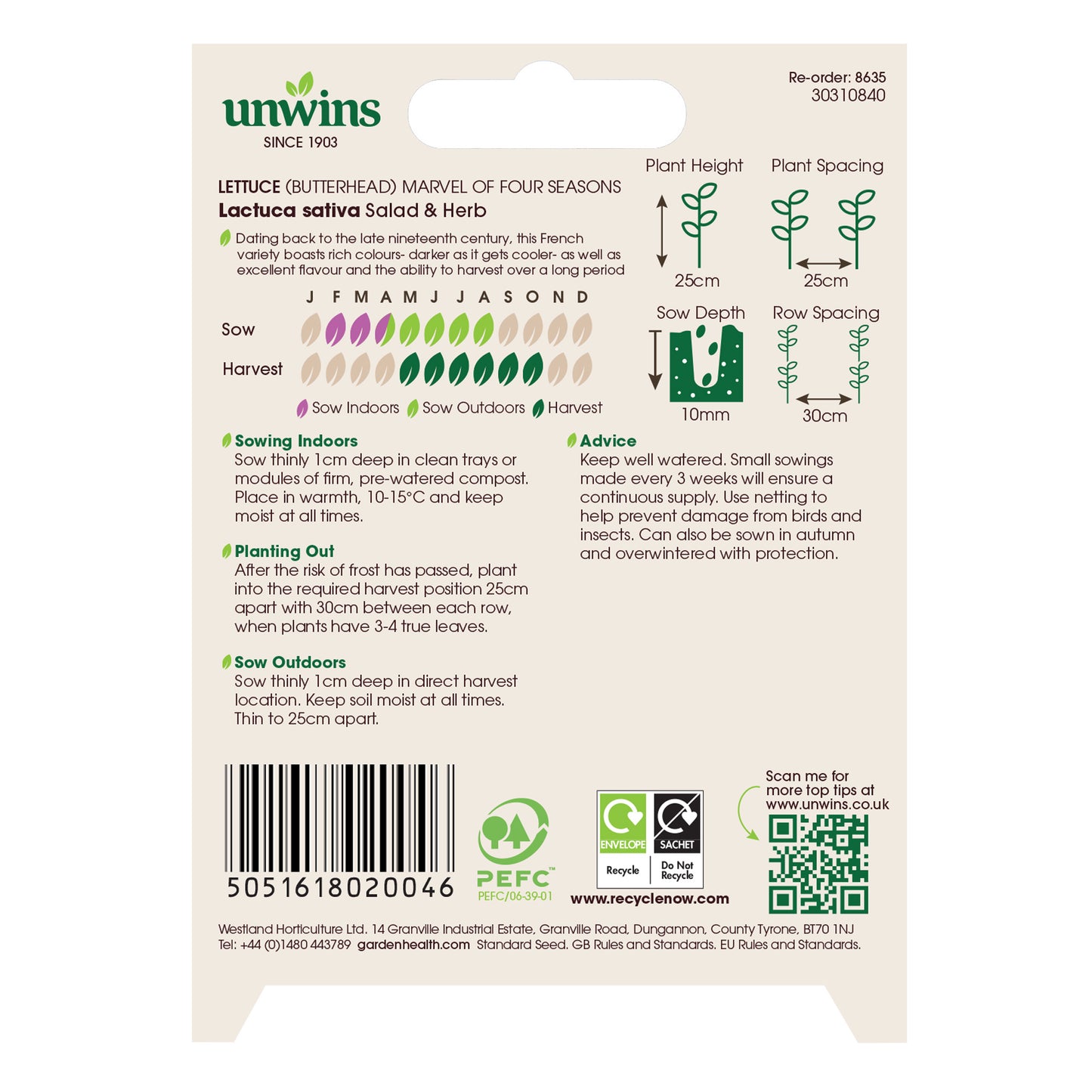 Lettuce (Butterhead) Marvel Of Four Seasons