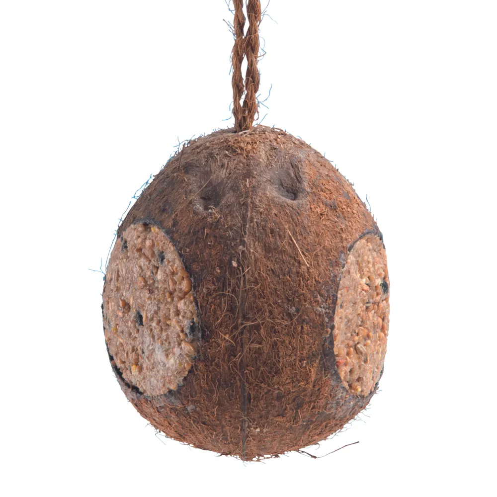 Copdock Mill Whole Coconut With 3 Holes 350g