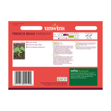 French Bean (Dwarf) Faraday