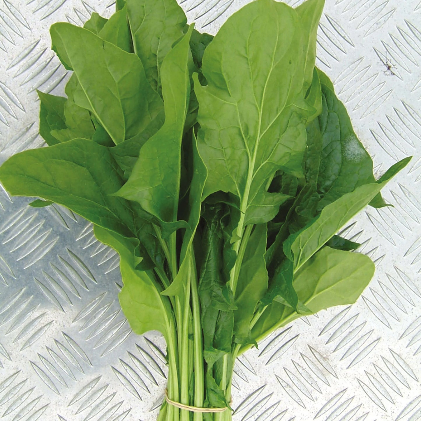 Spinach Mikado F1