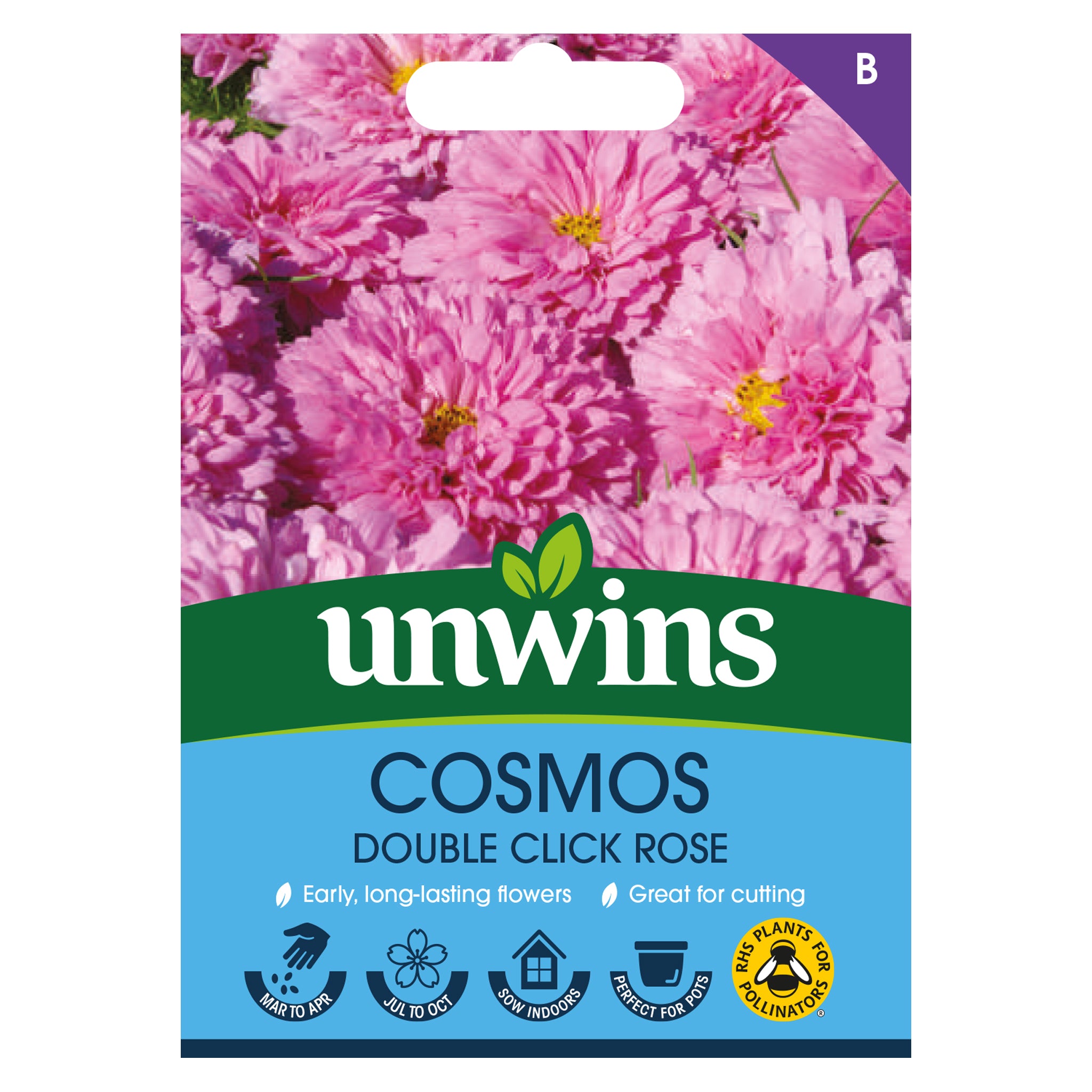 Cosmos Double Click Rose Bon Bon