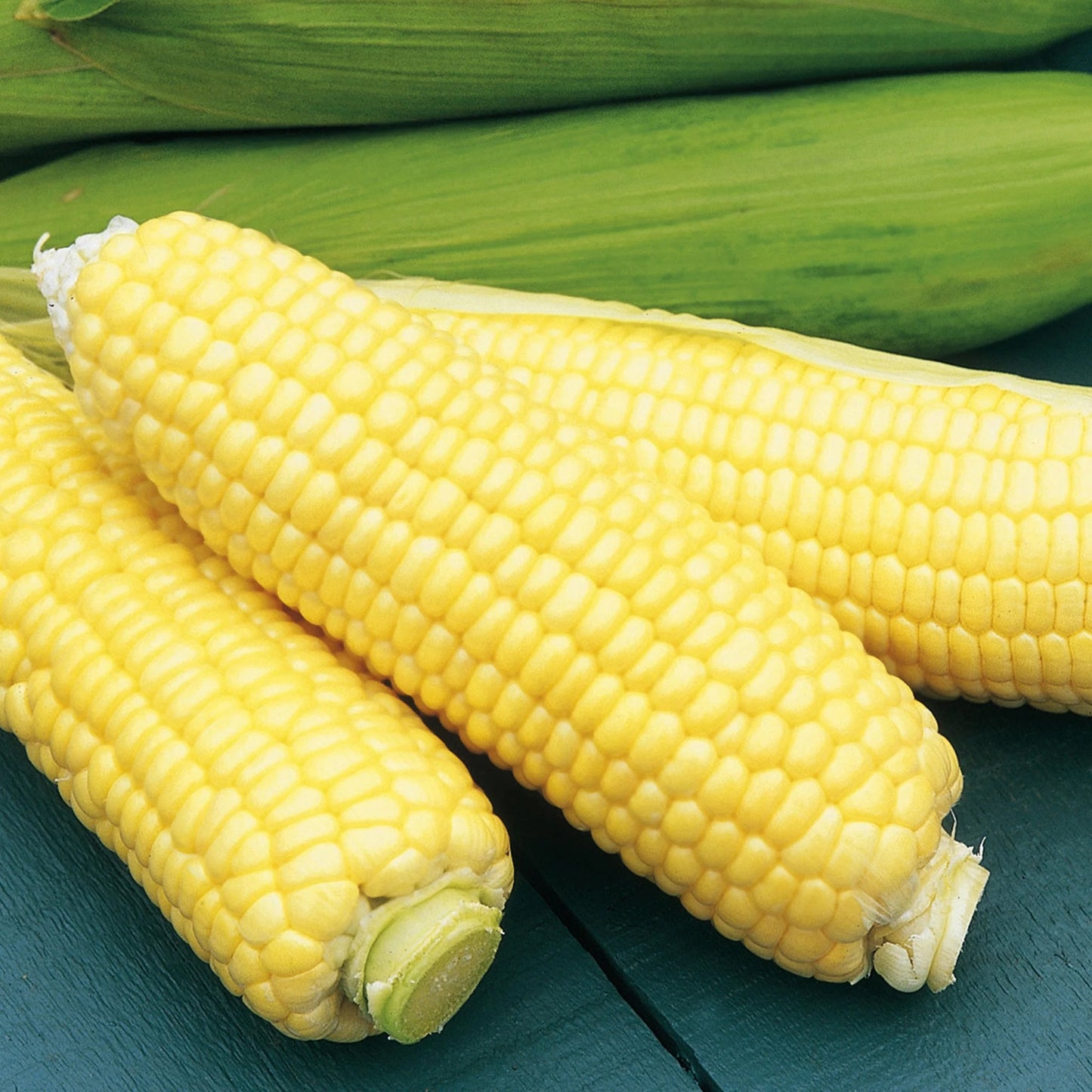 Sweetcorn Strong Star F1