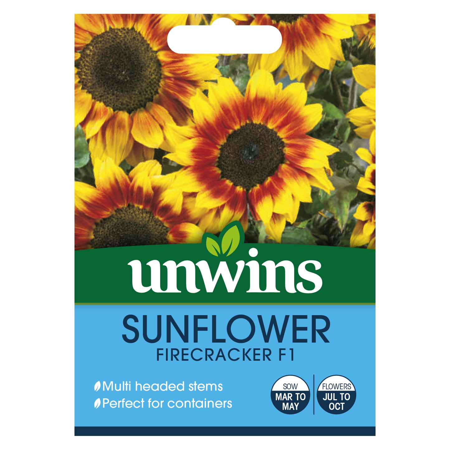 Sunflower Firecracker F1