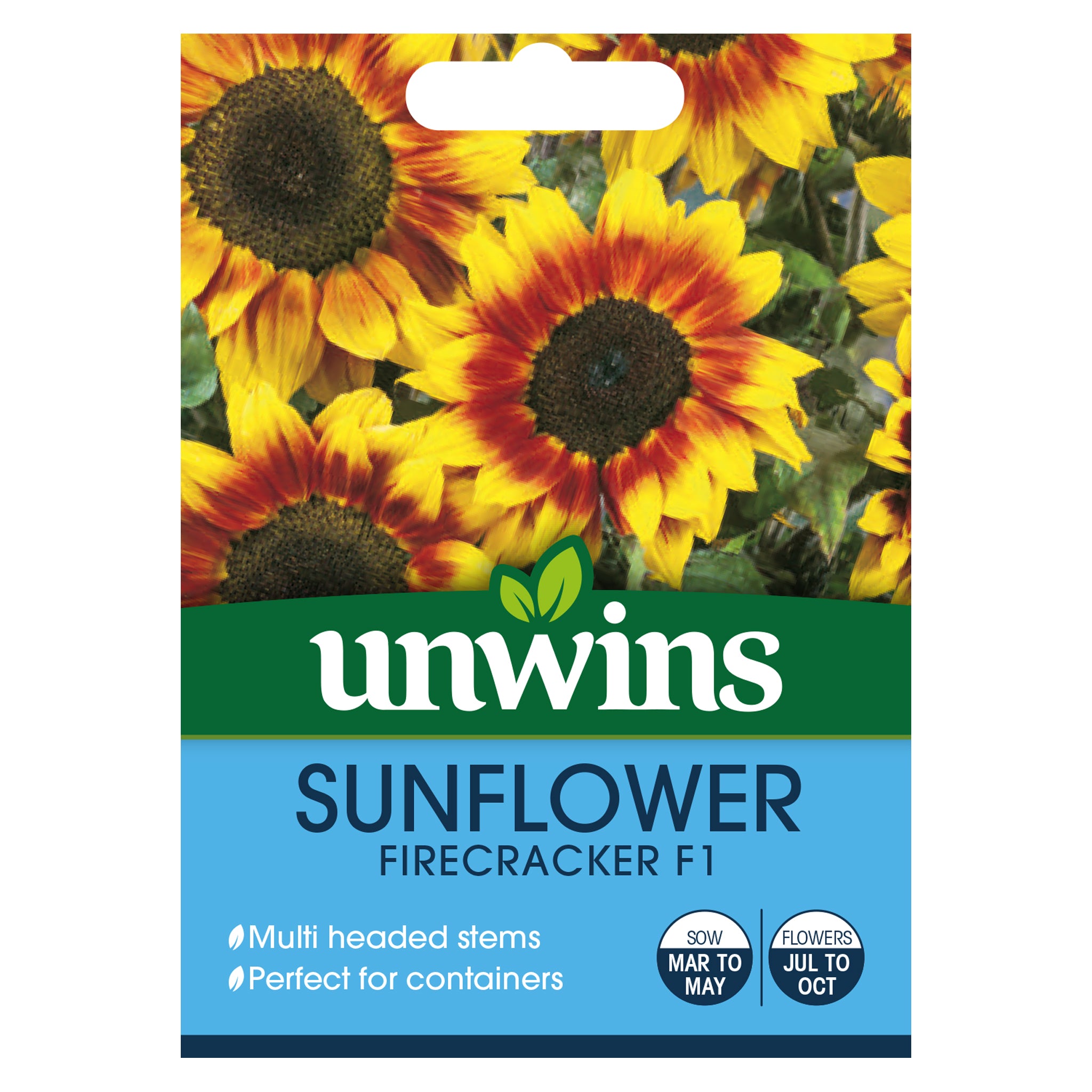 Sunflower Firecracker F1