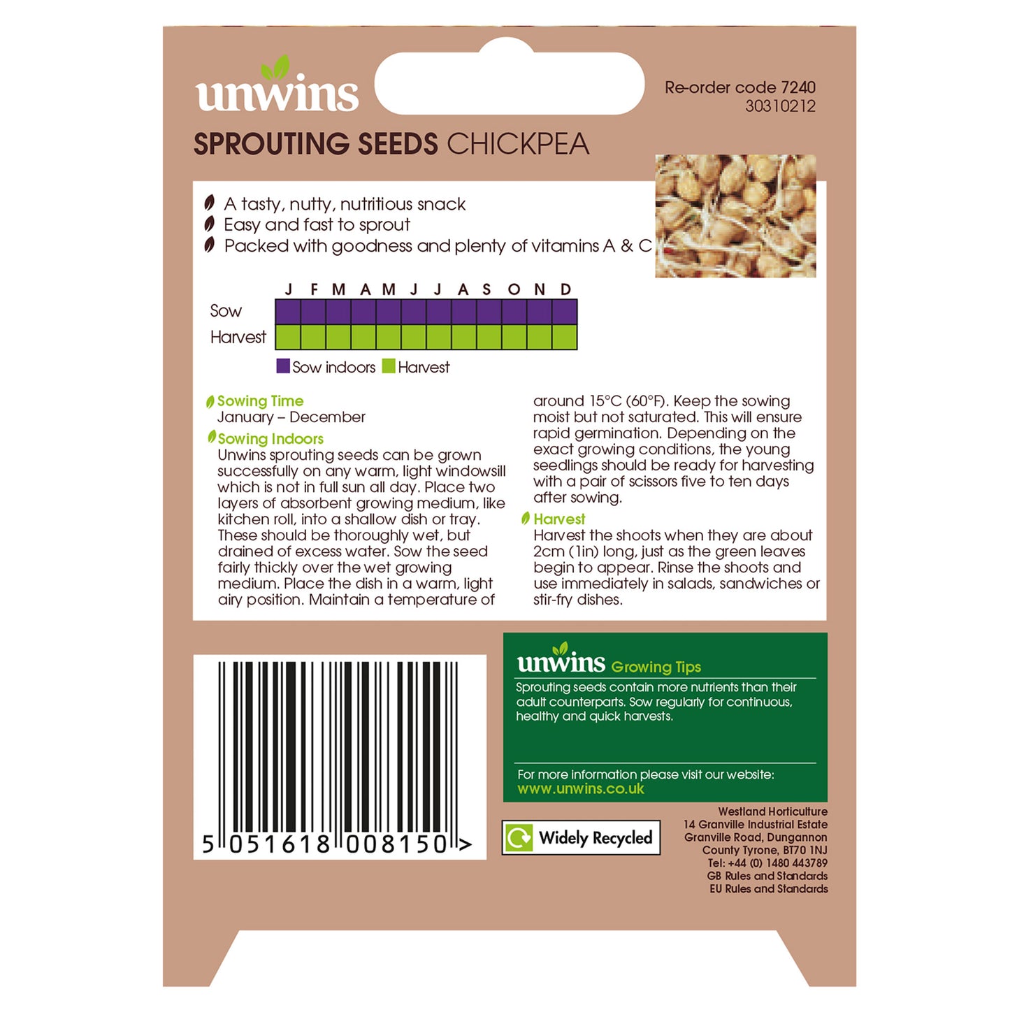 Sprouting Seeds Chickpea