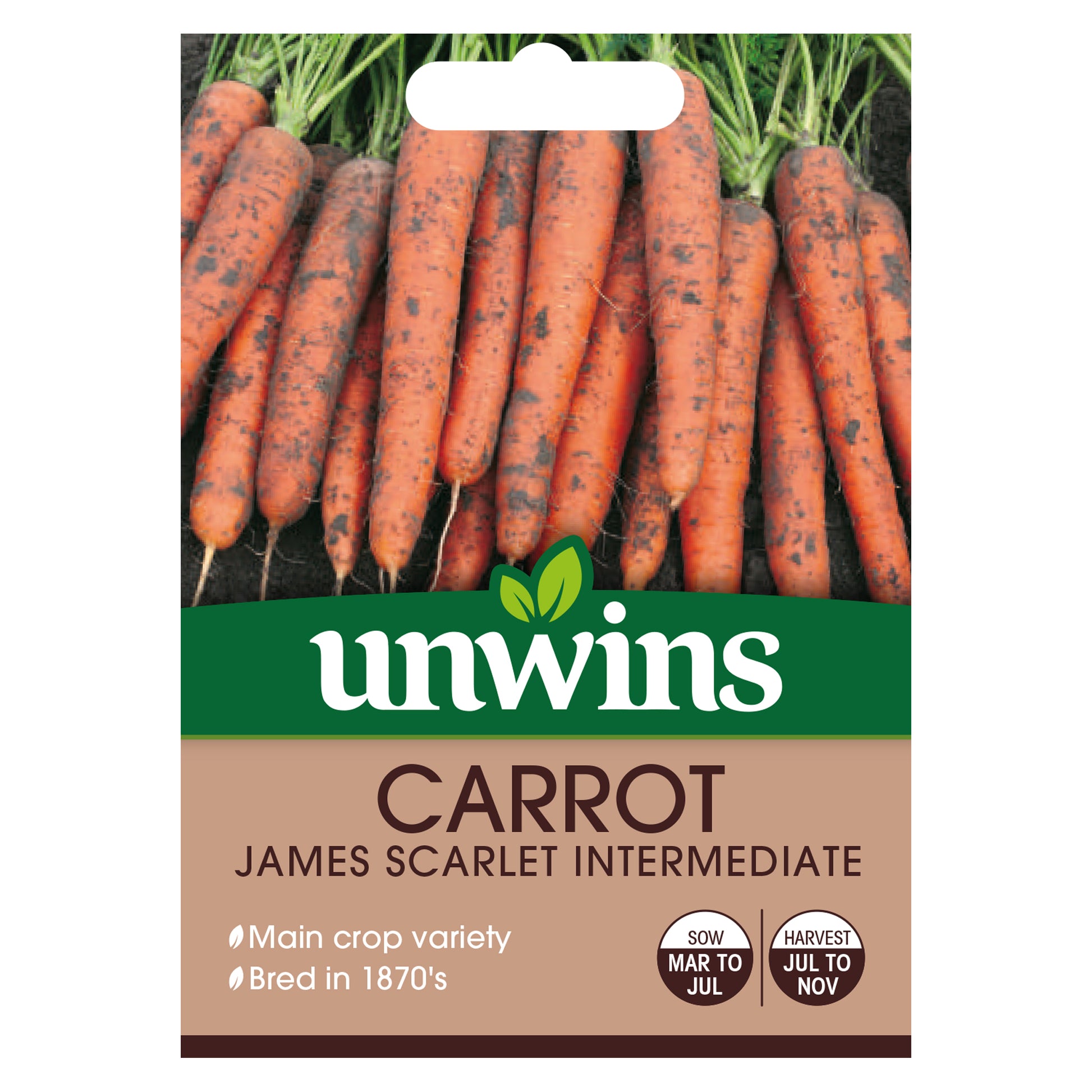 Carrot James Scarlet Intermediate