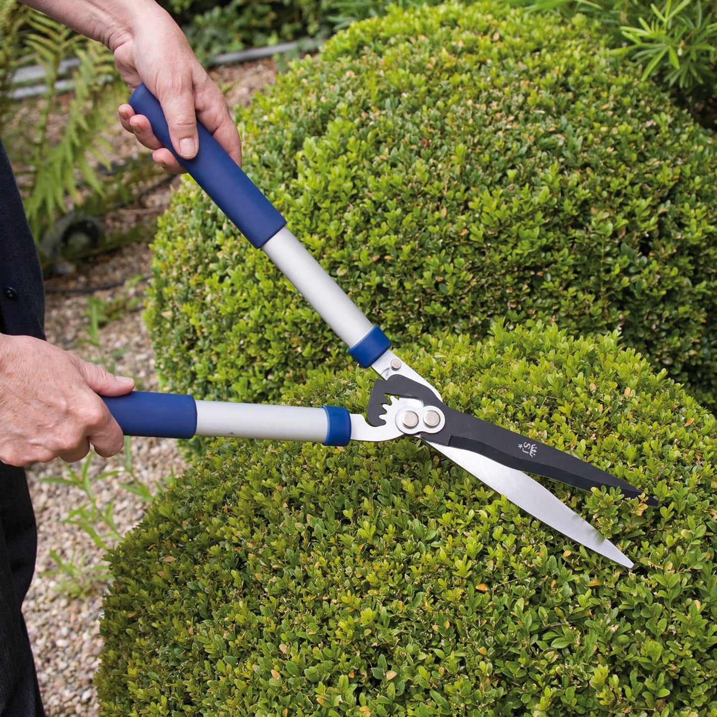 Spear & Jackson Geared Hand Shears