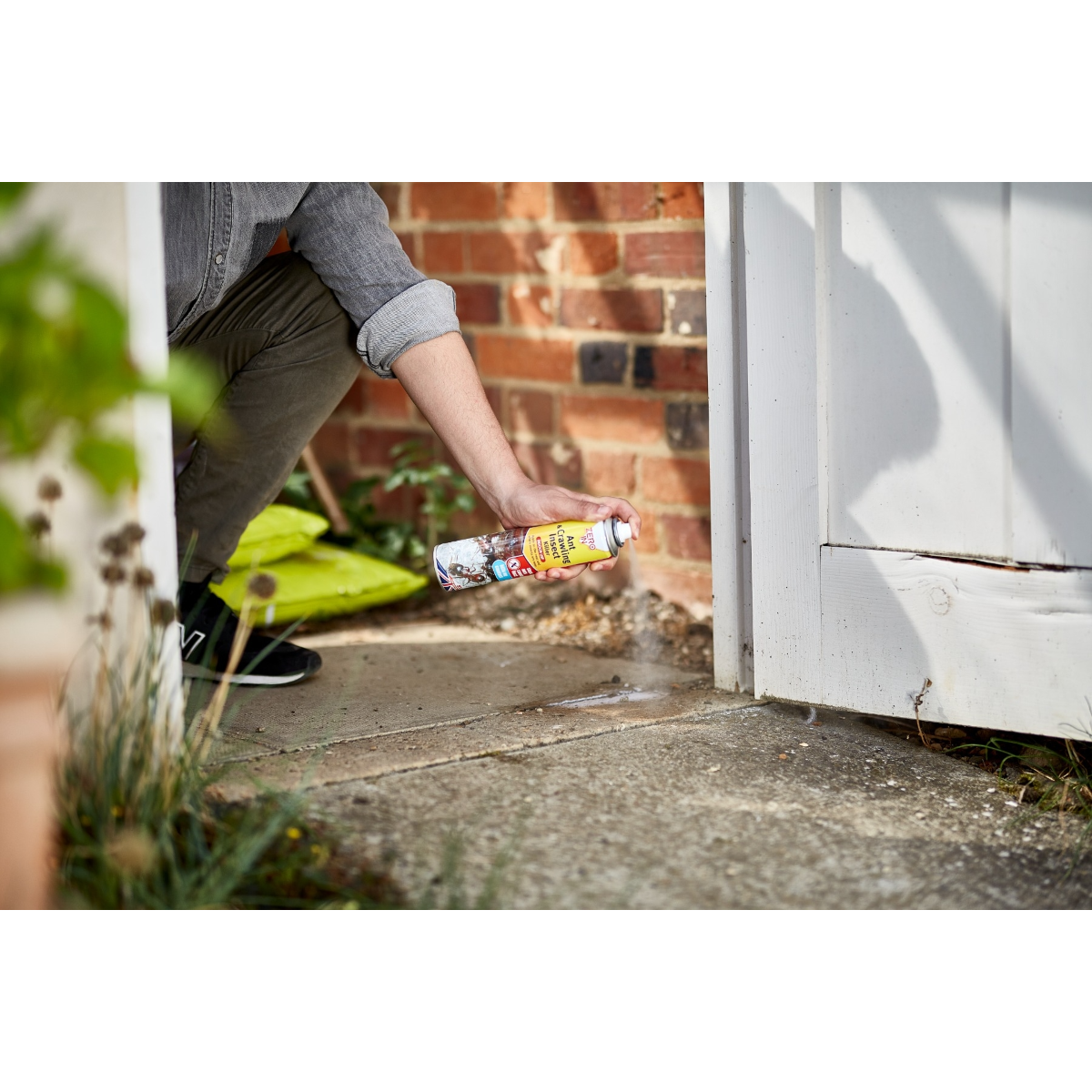 Zero In Ant & Crawling Insect Killer - 300ml Aerosol